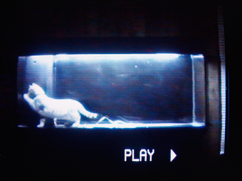 Play, 1991